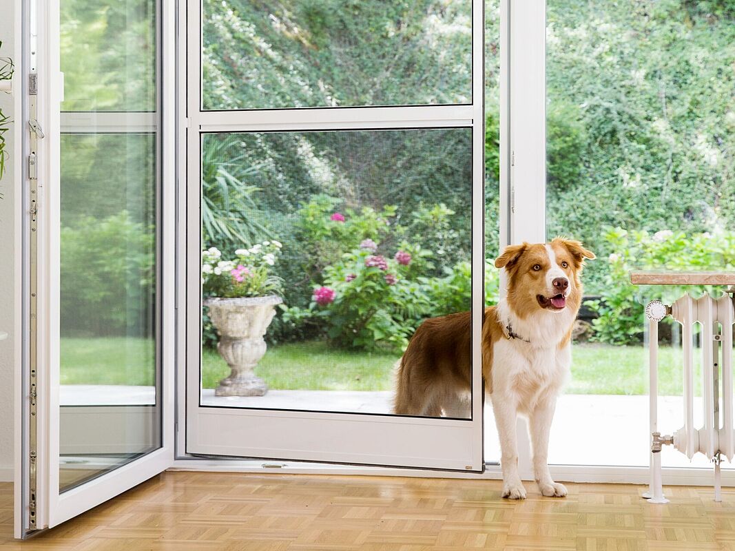 Helm und Helm Insektenschutz in Hamburg